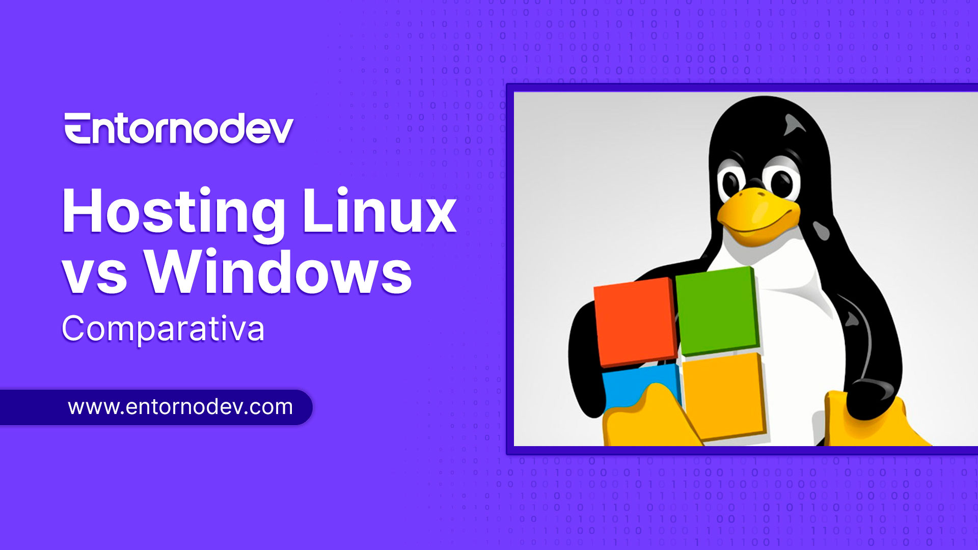 Diferencia entre Hosting Linux y Hosting Windows
