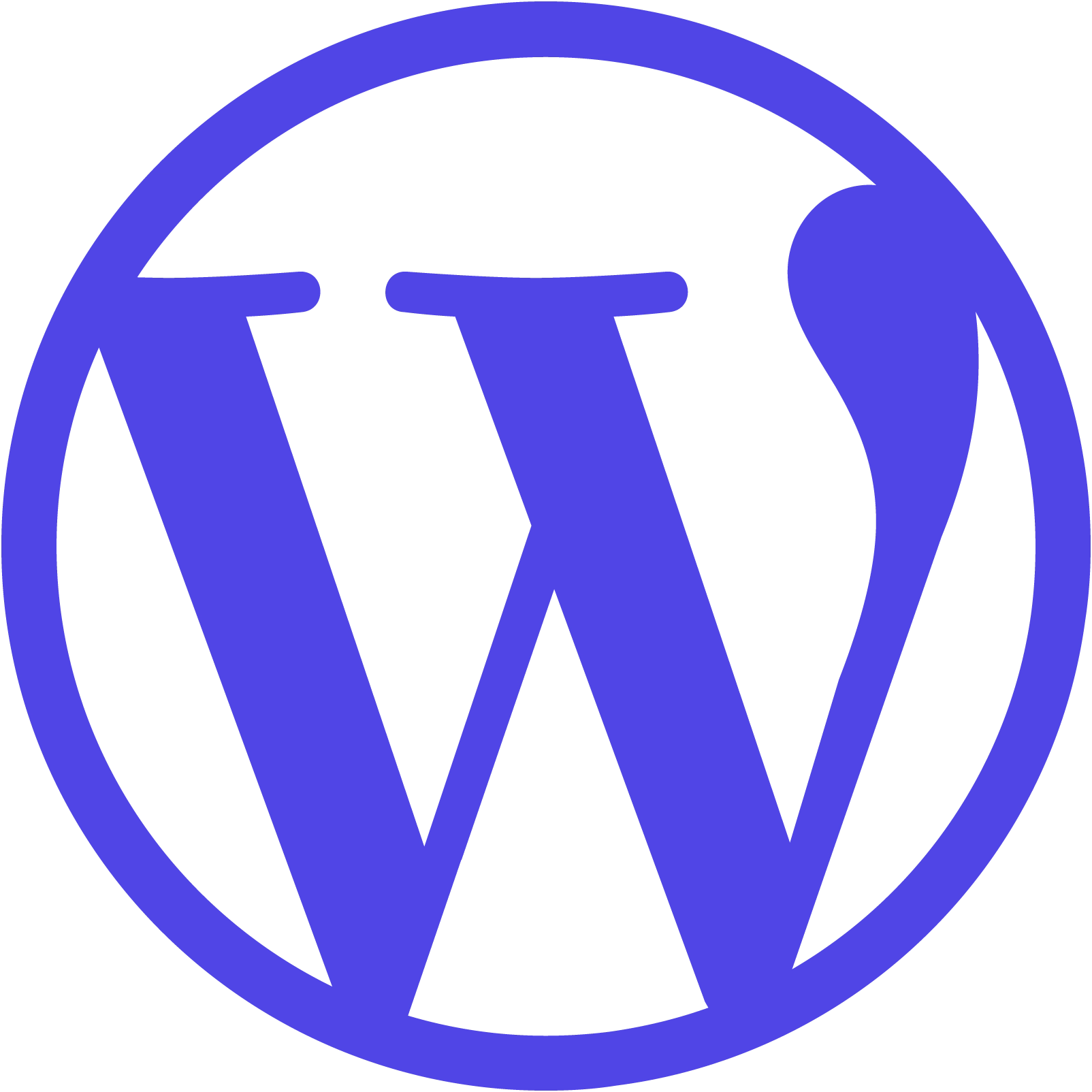 Hosting Wordpress SSD