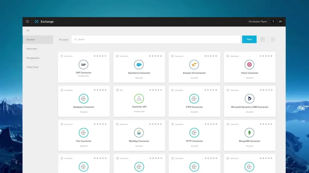 MuleSoft Anypoint Platform